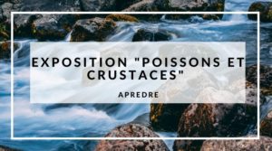 Lire la suite à propos de l’article Exposition “Poissons et crustacés des eaux douces de La Réunion”