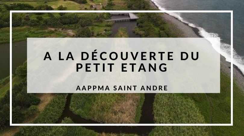 You are currently viewing A la découverte d’une zone humide côtière : Le Petit Etang de Saint André