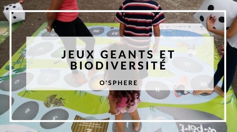 You are currently viewing Jeux géants et biodiversité de l’île de La Réunion