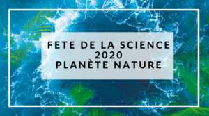 Lire la suite à propos de l’article Un film scientifique en classe